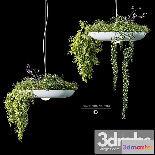 1046746 - Chandelier plant pot
