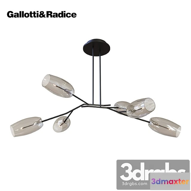 1047860 - Galotti & radice diantha
