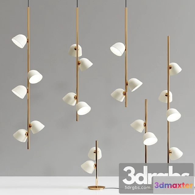 1049380 - Moira furstenberg collections - 5 types