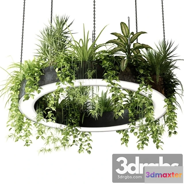 1050314 - Ring lamp planter with plants