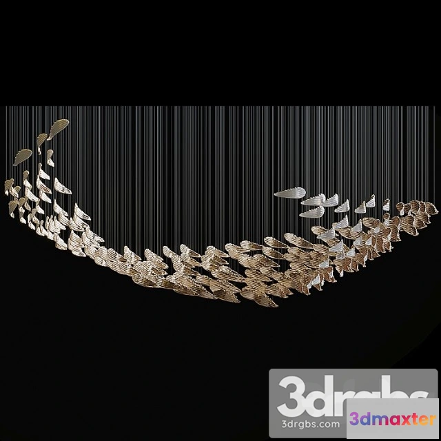 1050408 - Sans souci wings_1