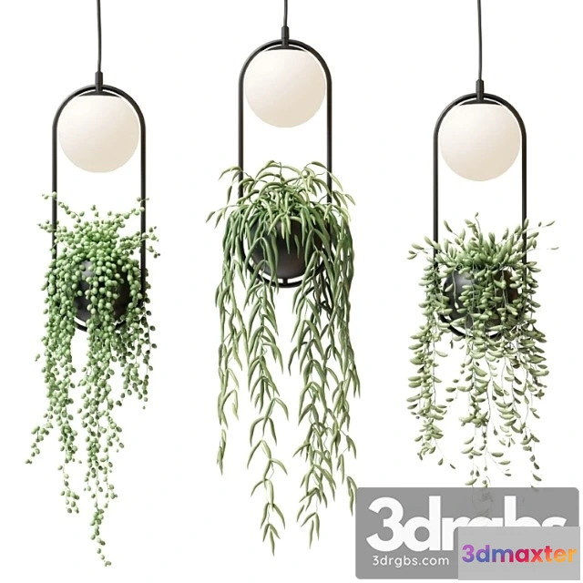 1051292 - Wren - sky garden planter light