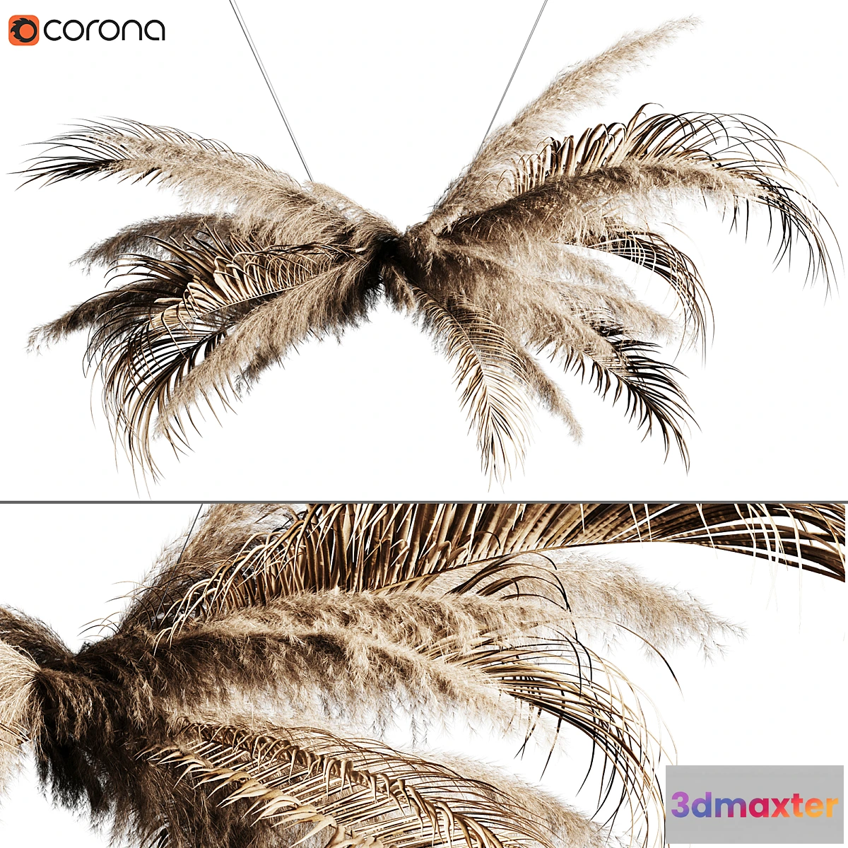 1295716 - Pampas grass chandelier 02 3D Max