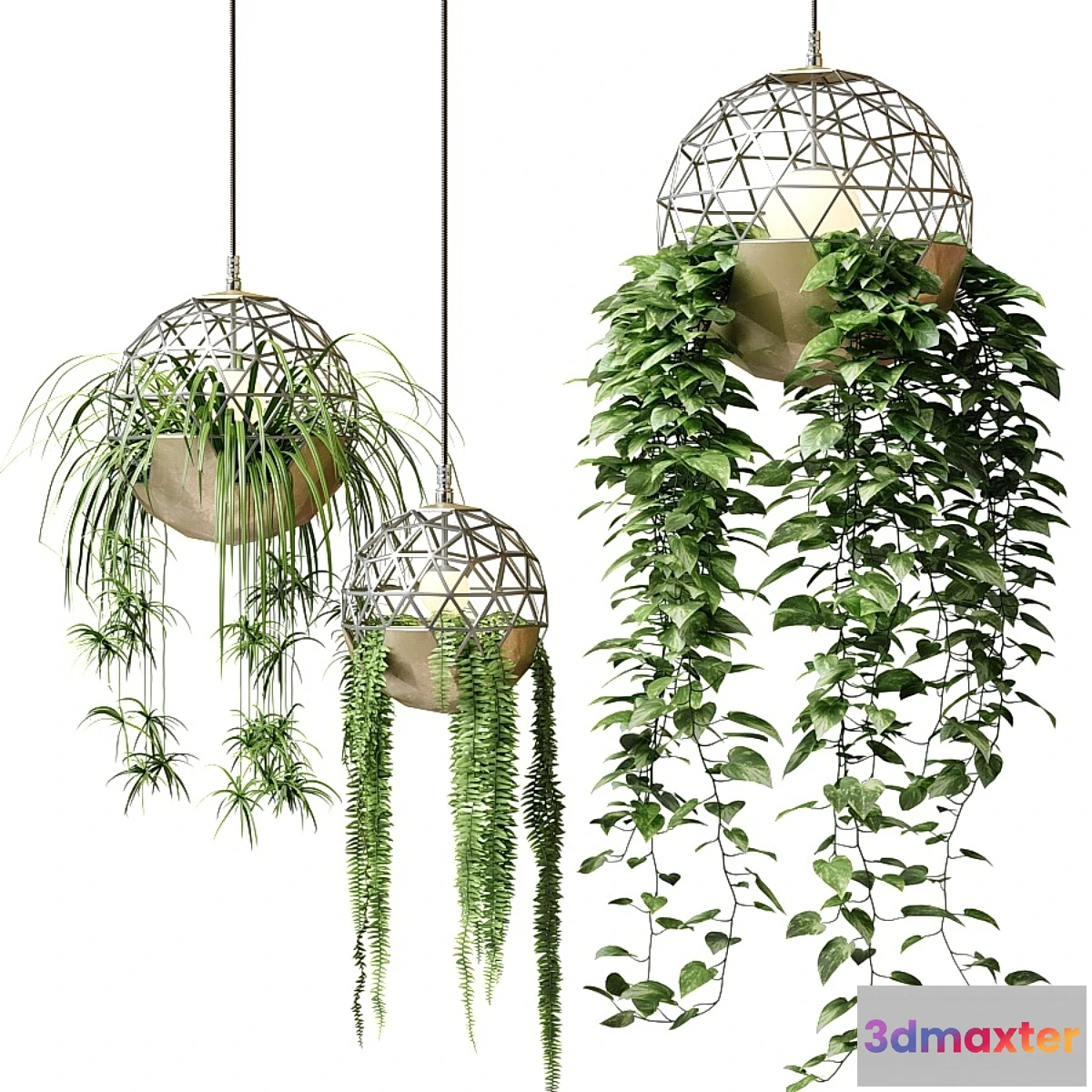 1296273 - Atelier Schroeter luminaires with hanging plants 3D Max