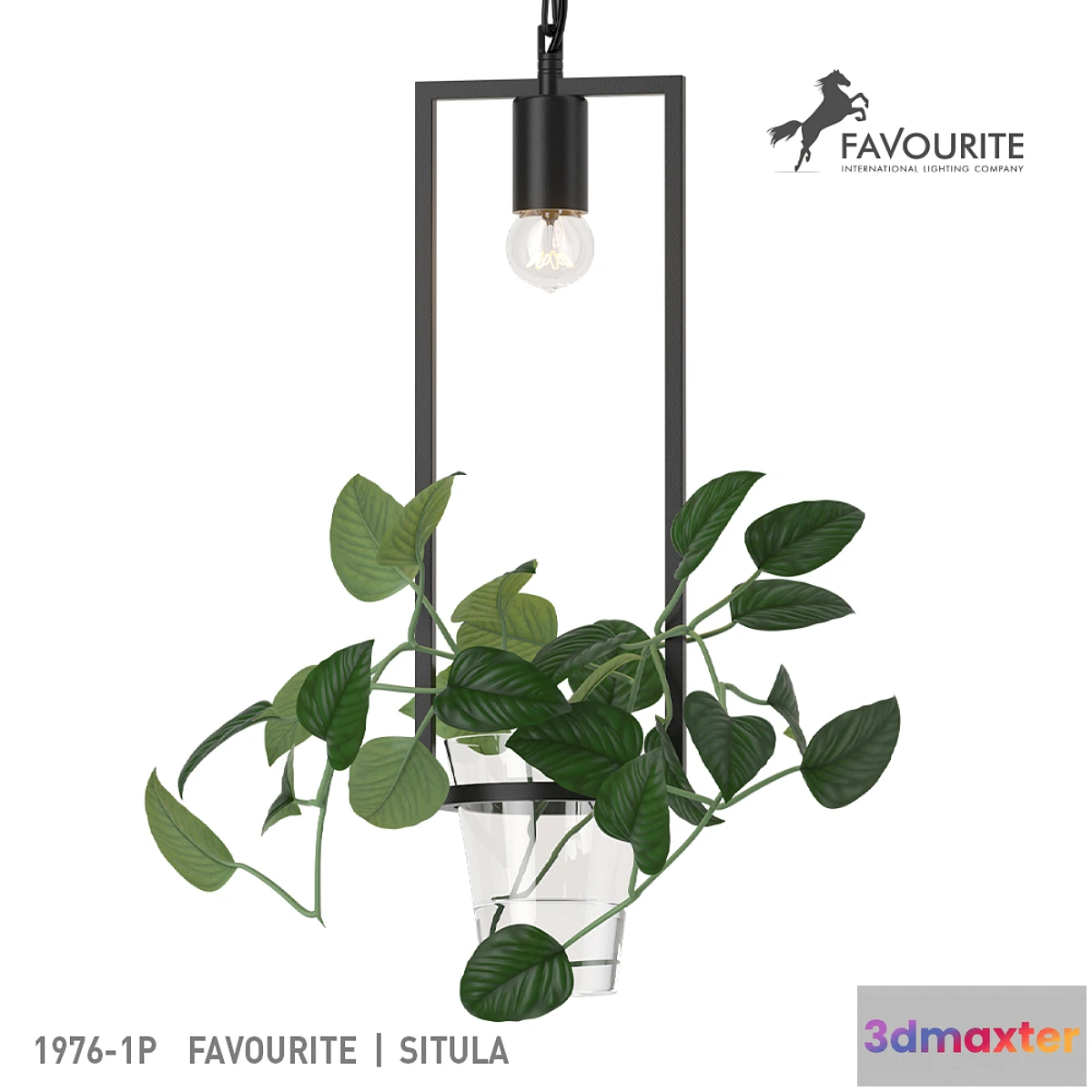 1300031 - Favorite 1976-1P 3D Max