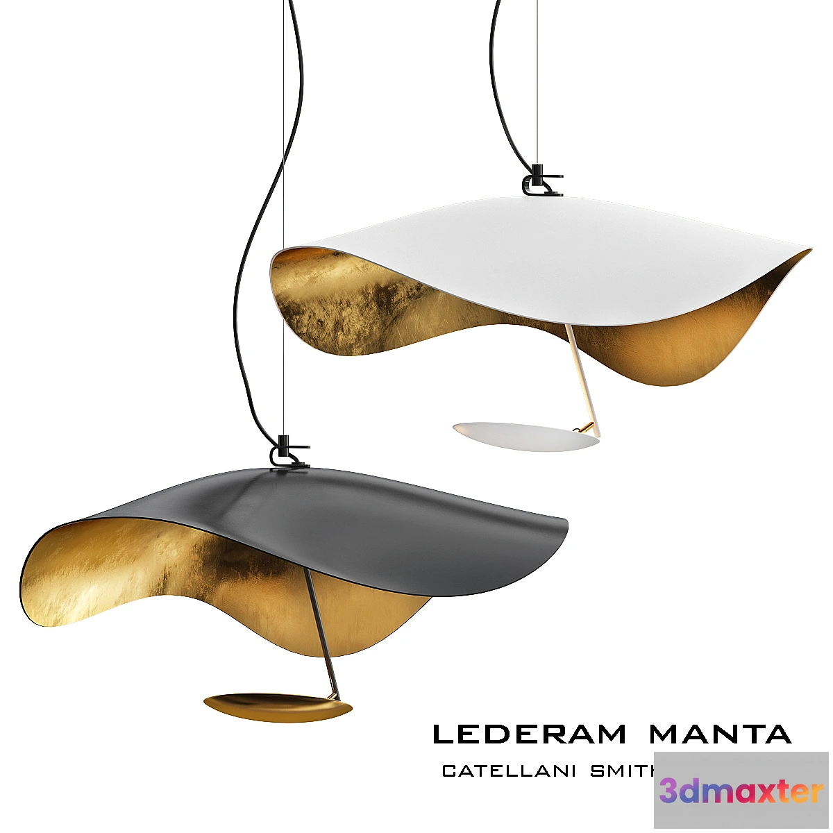 1336563 - Lederam manta catellani smith 3D Max