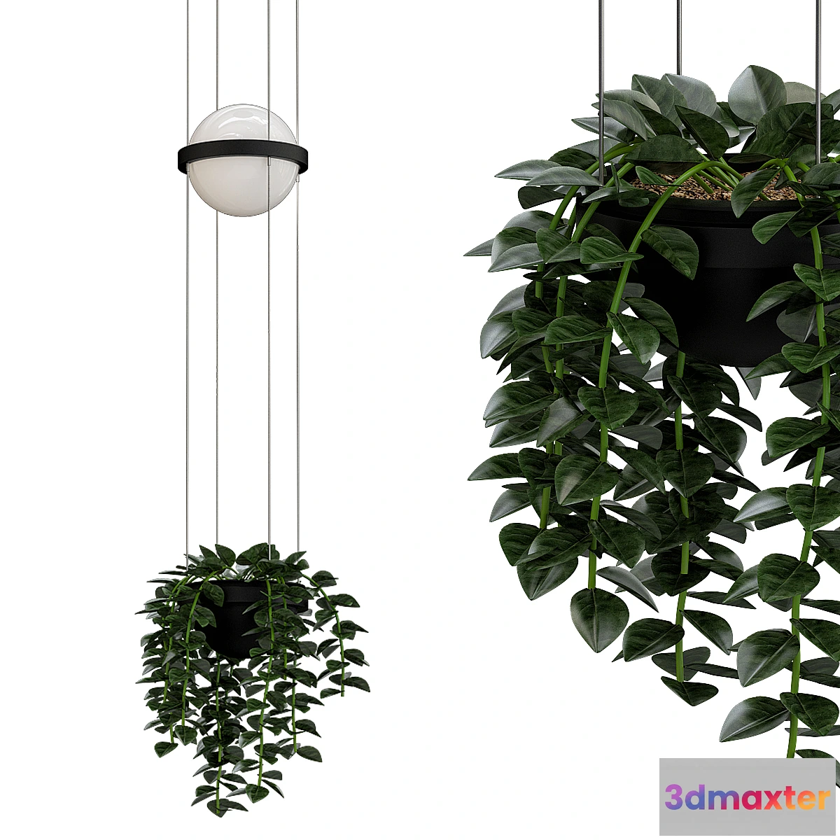 1344135 - palma_pendant 3D Max