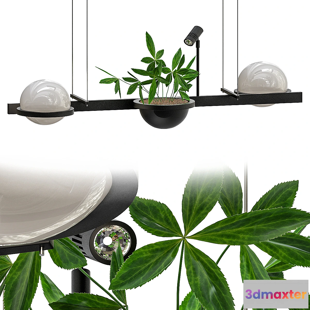 1344698 - Palma_Vibi 3D Max