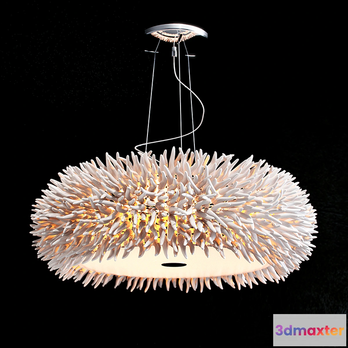 1351288 - schuller xenia 3D Max