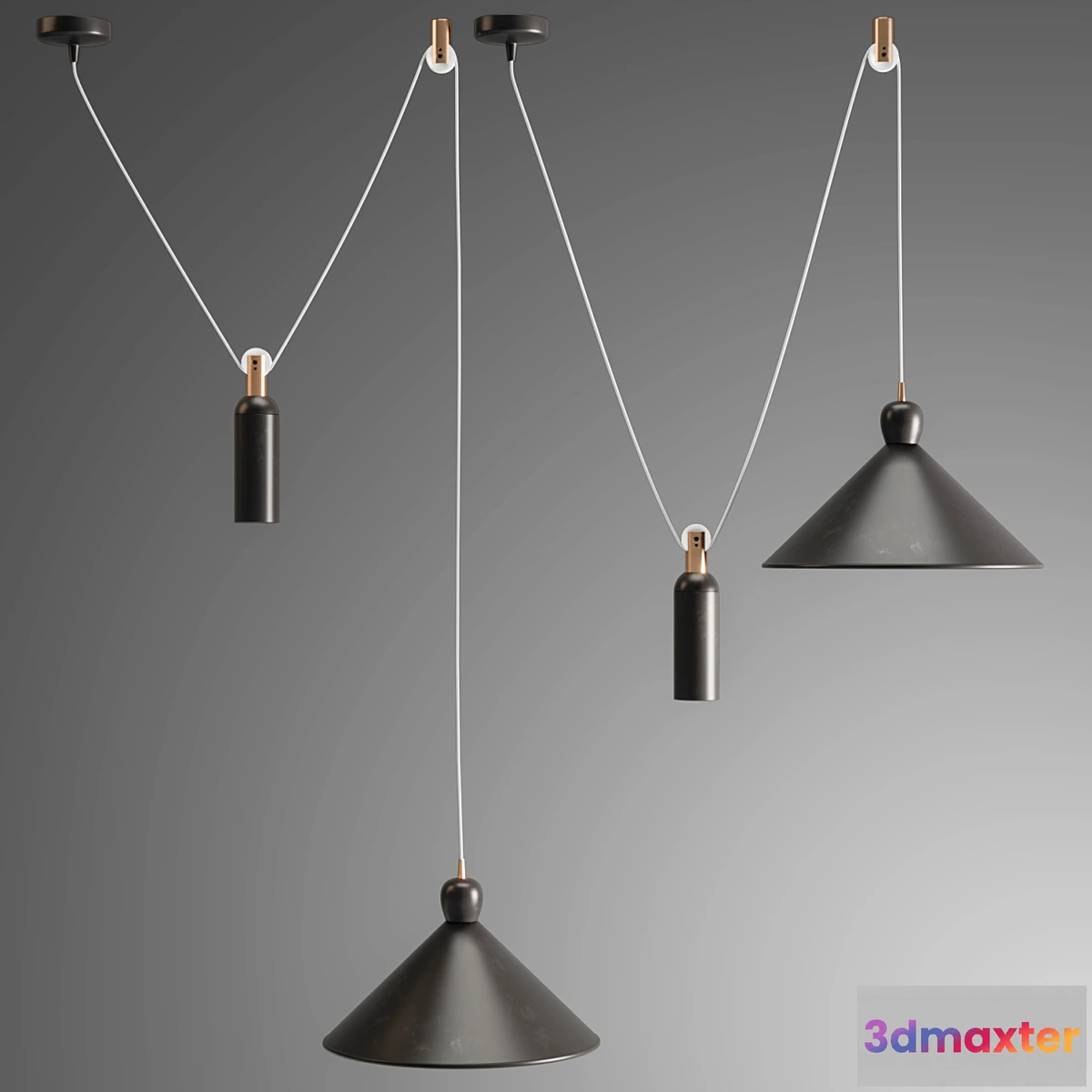 1407946 - Ogilvy Rise and Fall Pendant 3D Max