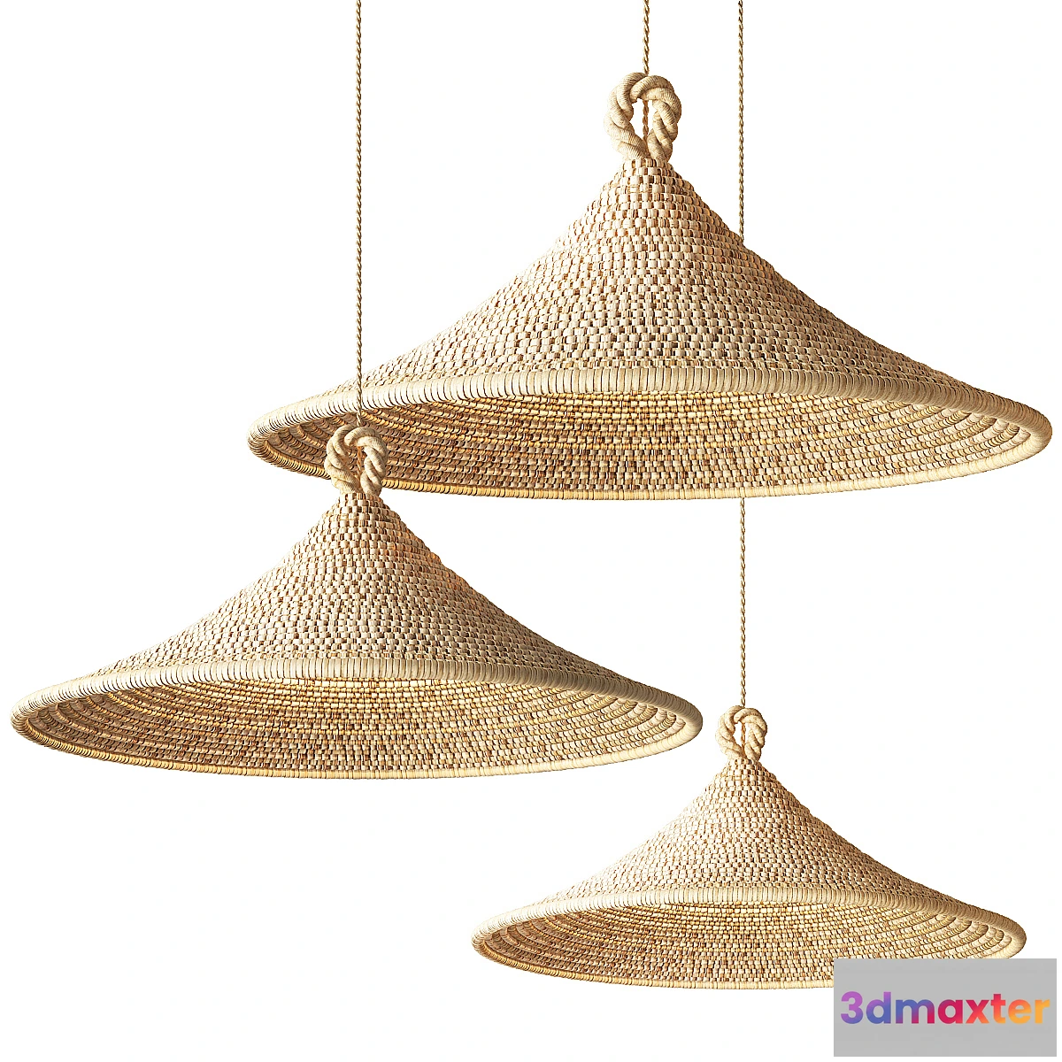 1454914 - Cone Pendant Lamp 3D Max