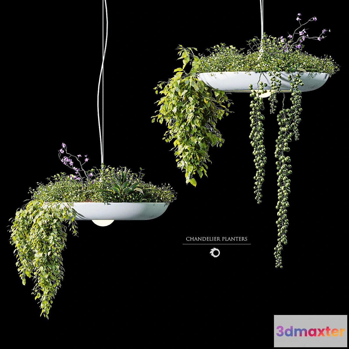 1459548 - Chandelier plant pot 3D Max