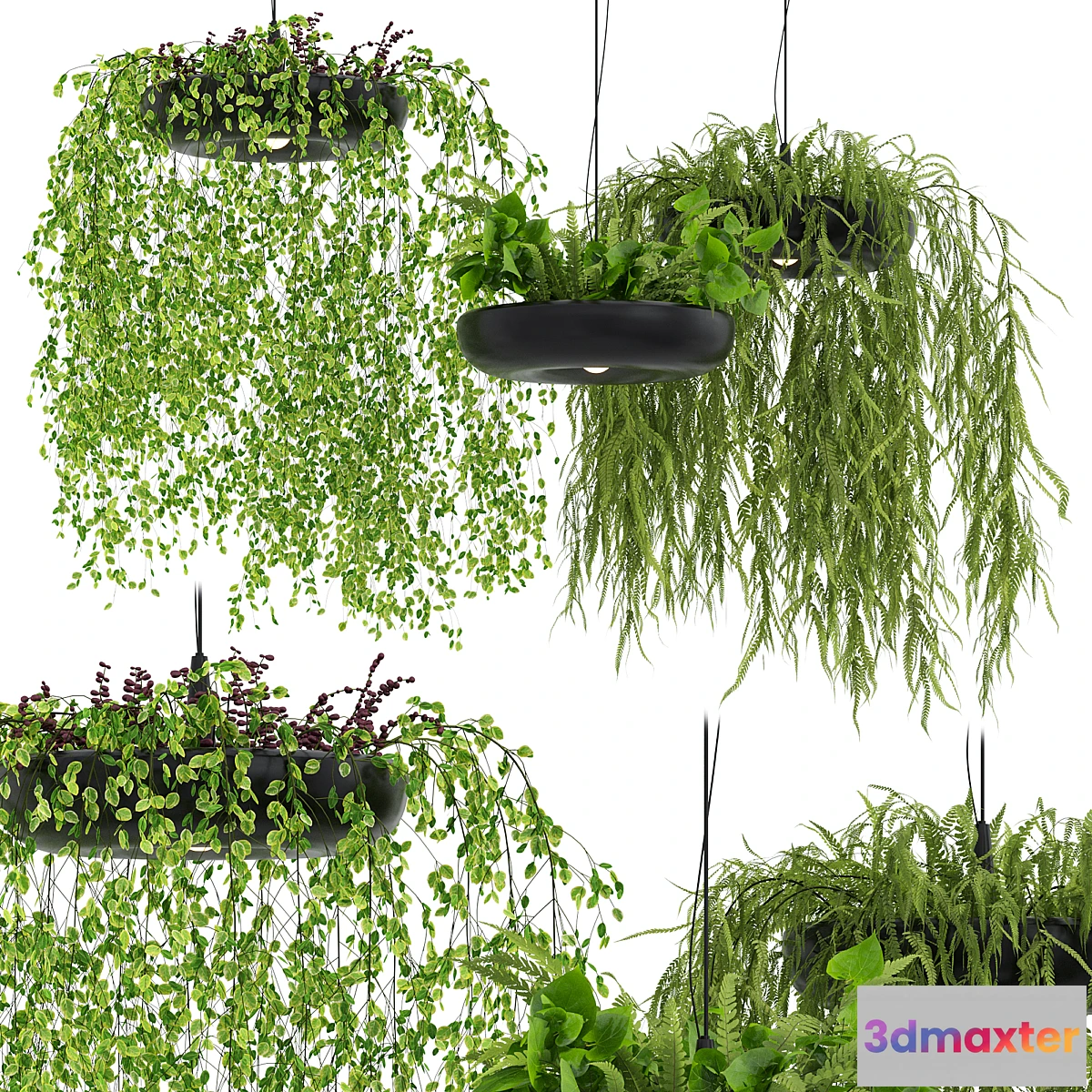 1468008 - Indrid Decorative Plants Black Light By Lightmakers 3D Max