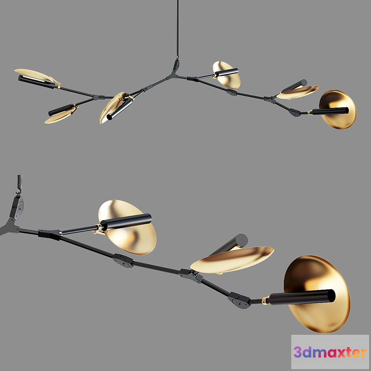 1474614 - Branching Disc 3D Max