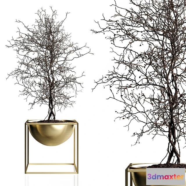 1558043 - Branching tree 3D Max