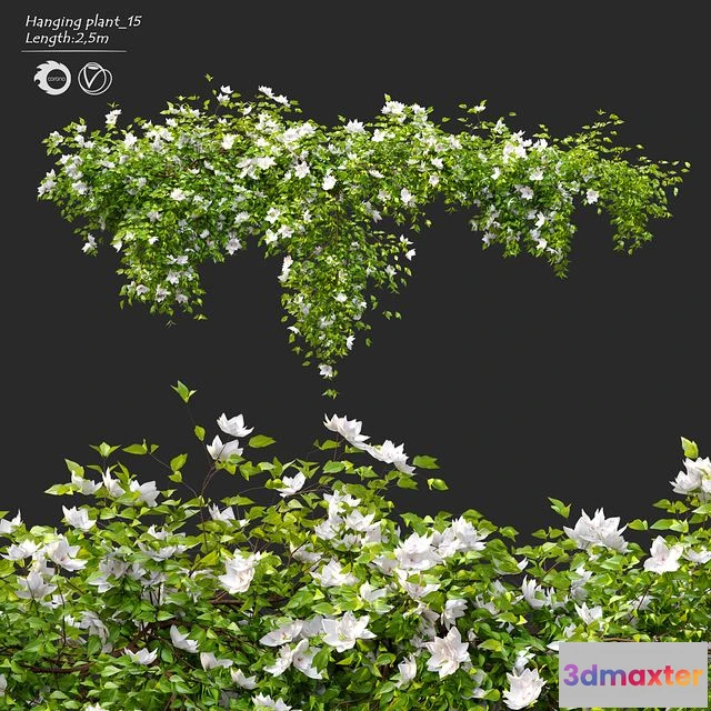 1560220 - Hanging Plant 15 3D Max