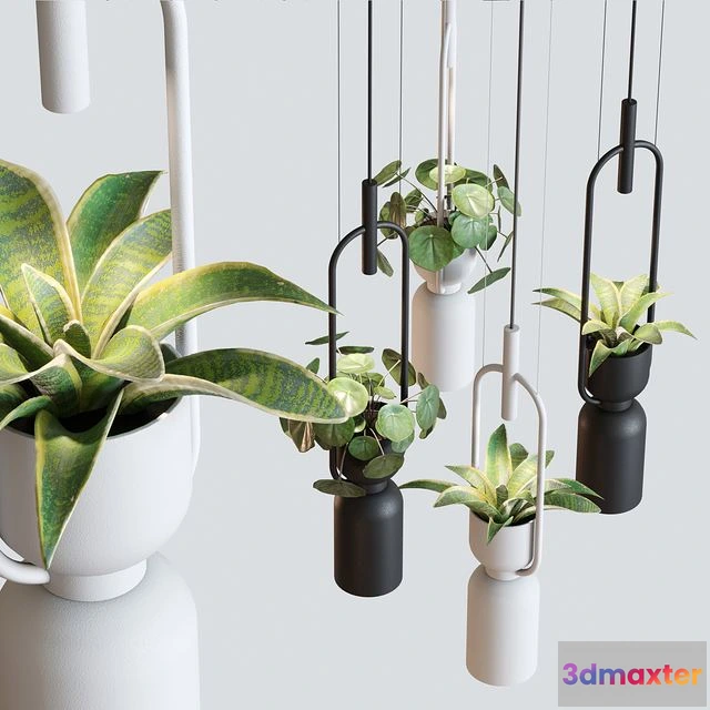 1560276 - Pendant lamp luxcambra OXYGEN 3D Max