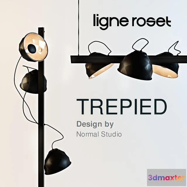 1564143 - Ligne Roset TREPIED 3D Max