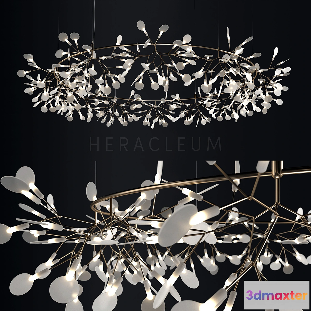 565645 - Chandelier Moooi Heracleum the Big O