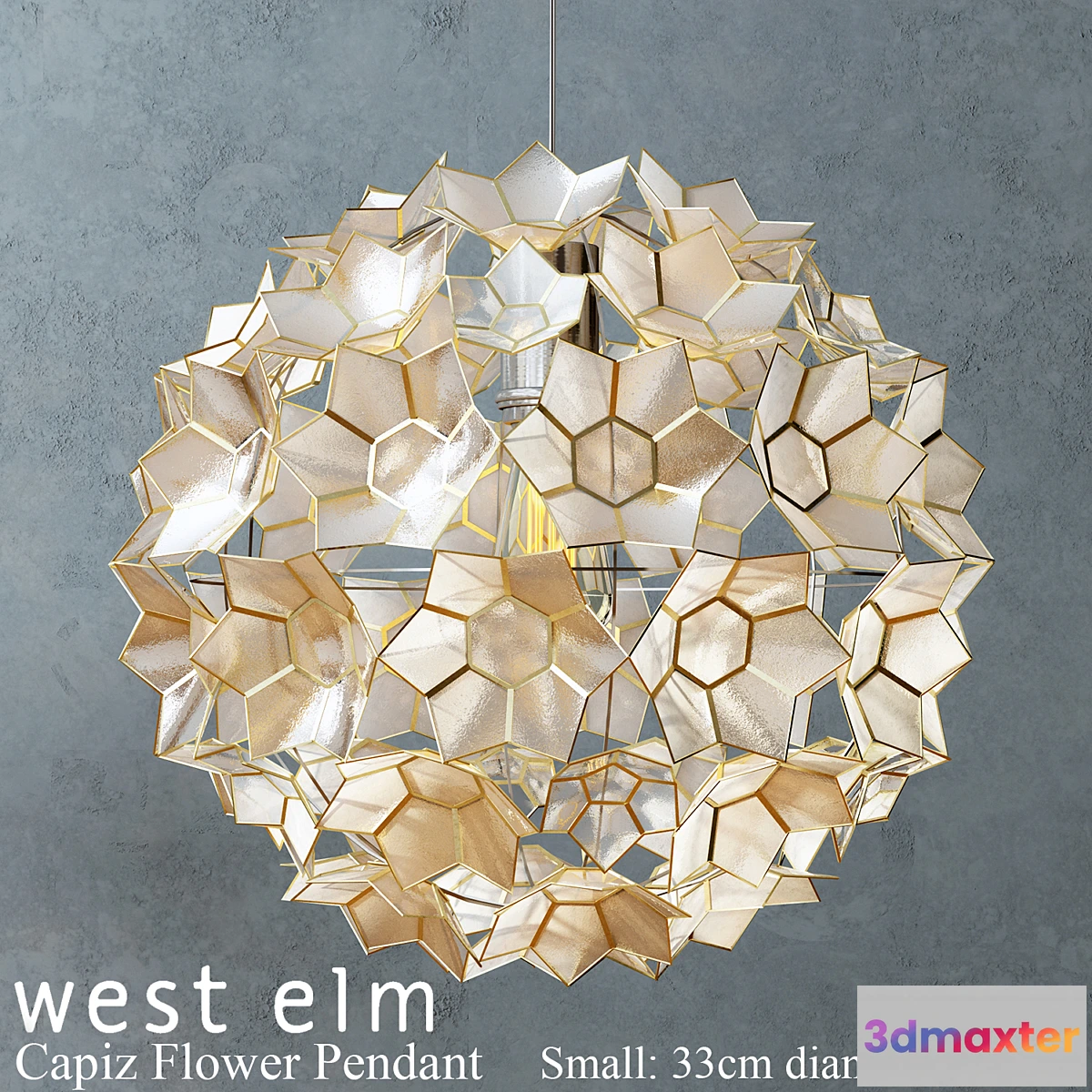 575288 - West elm - Capiz Flower Pendant