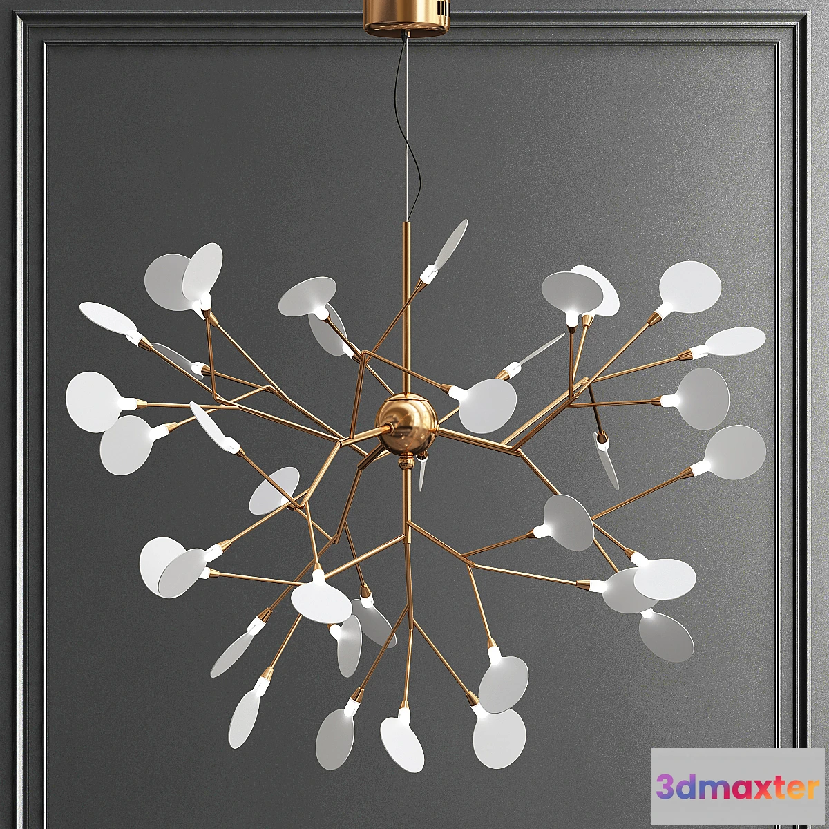 614471 - Heracleum gold