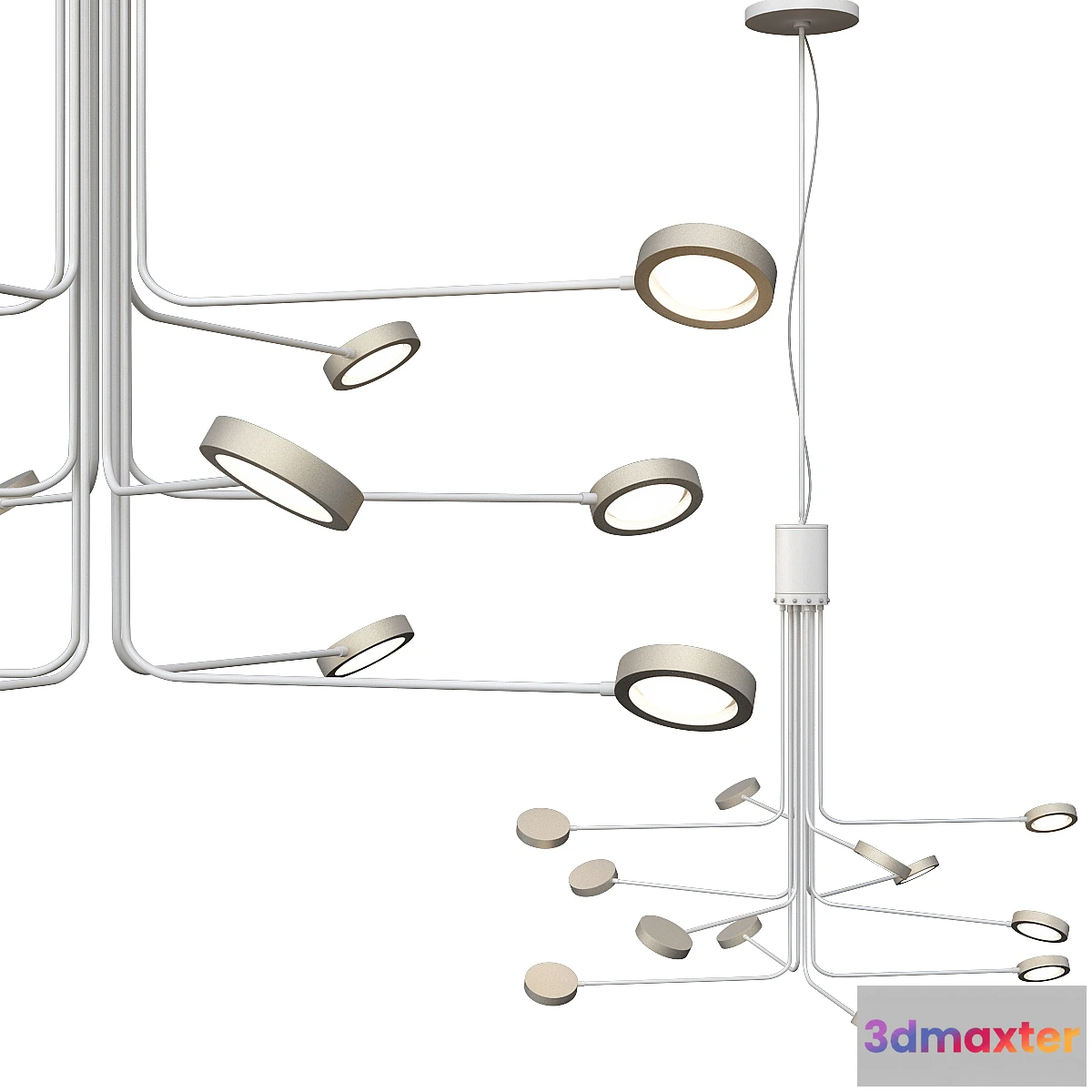 615077 - Icone luce arbor