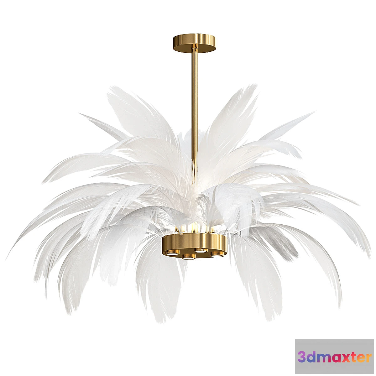 615255 - Dream_Master