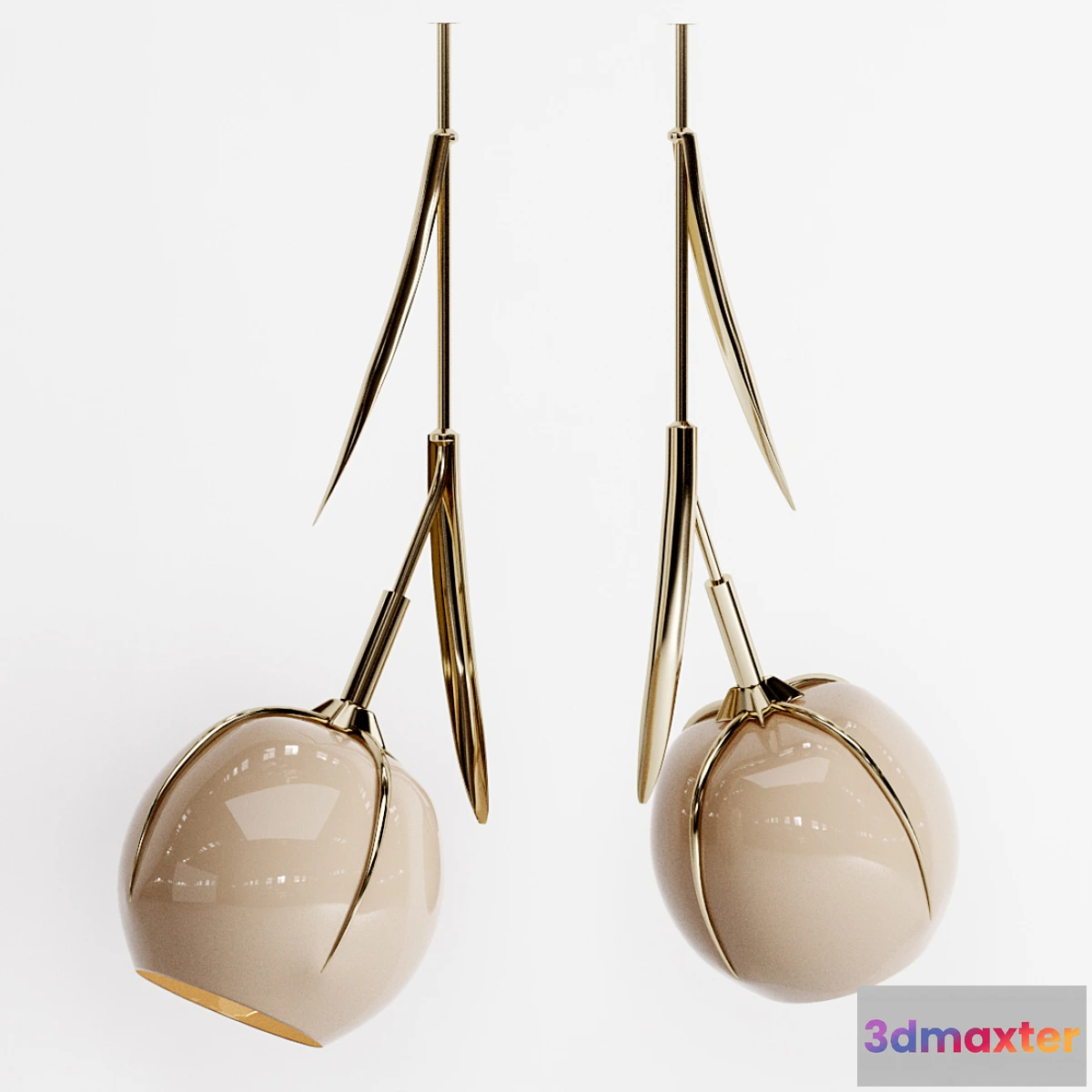 615490 - Mydriaz muguet