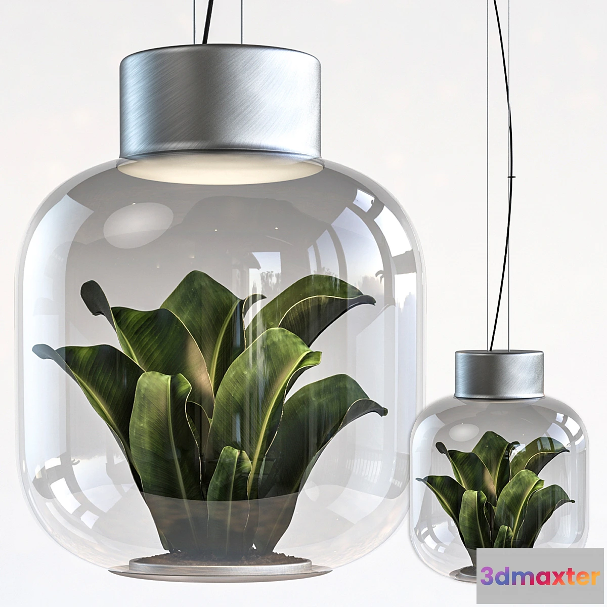 616420 - Plant light