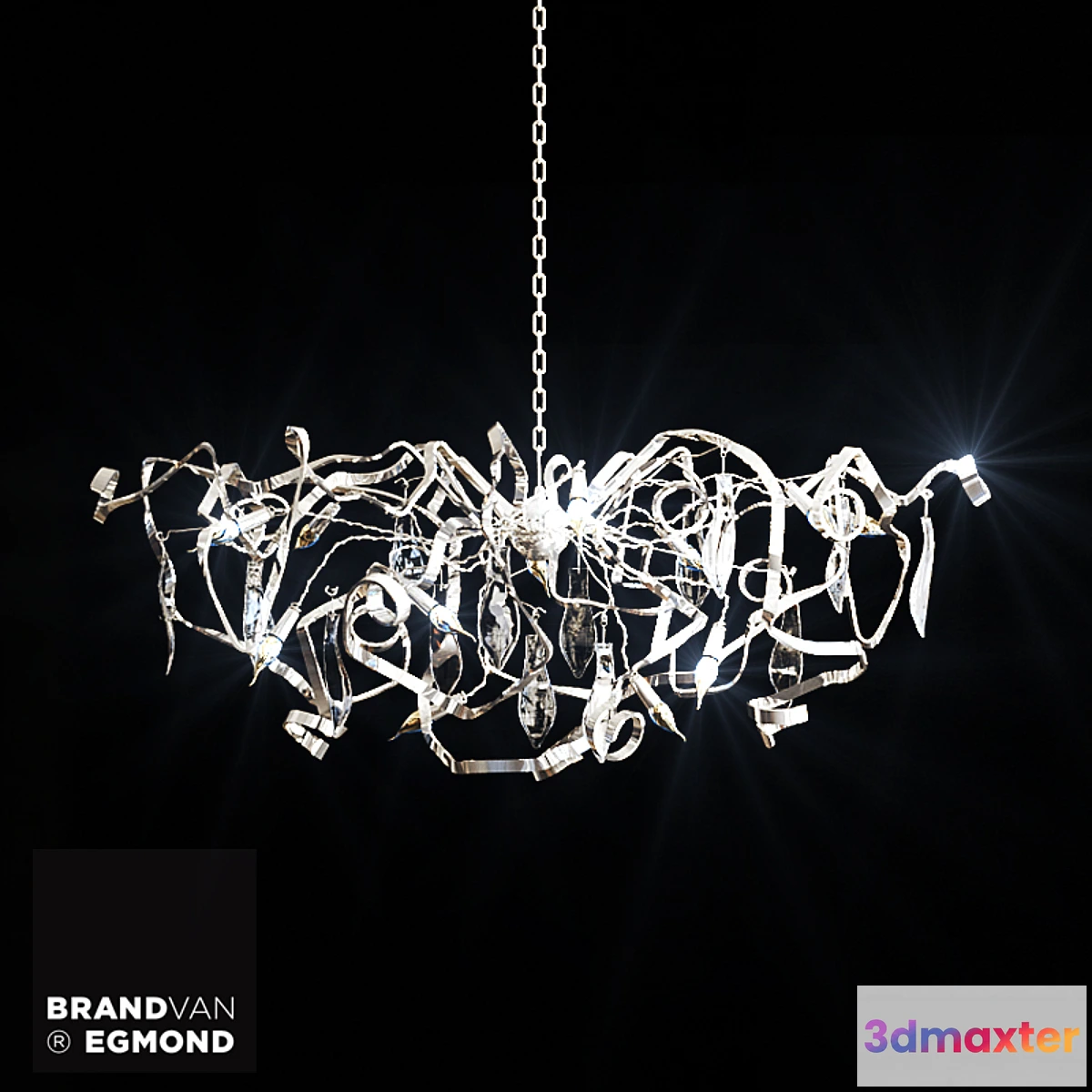 642463 - DELPHINIUM DOC70N