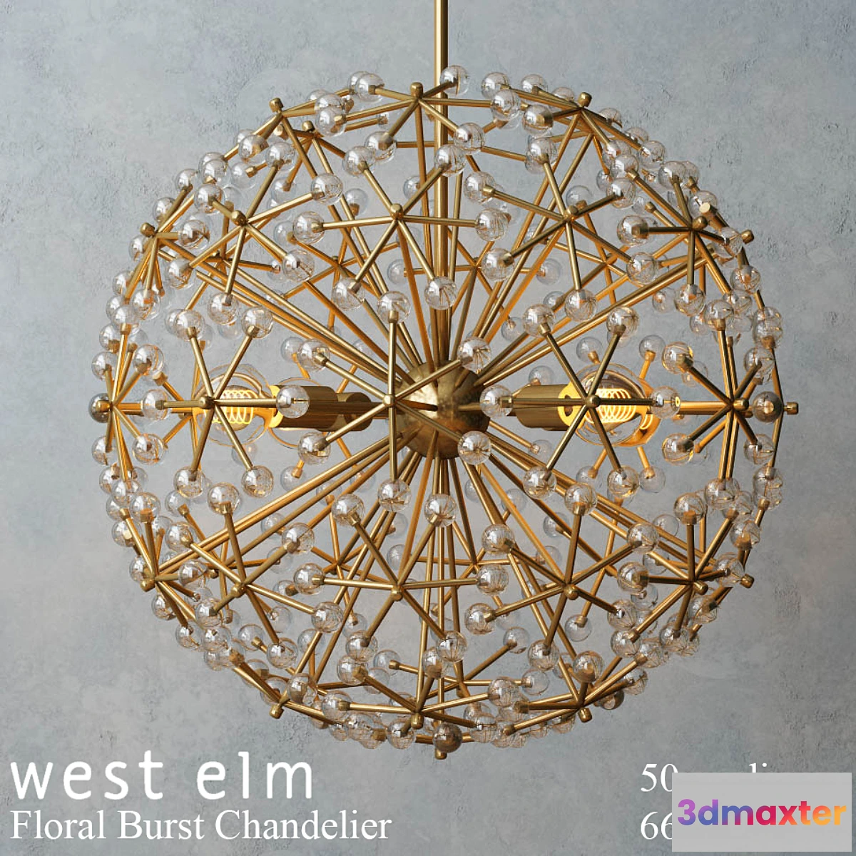 652719 - West elm - Floral Burst Chandelier