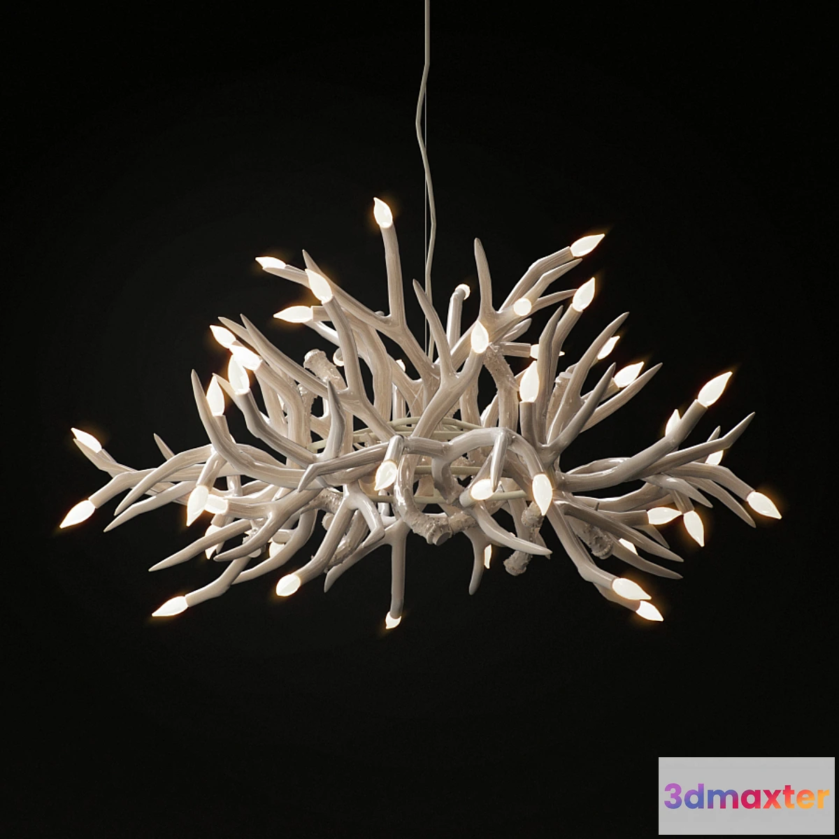 652837 - Jason Miller Superordinate Antler 24