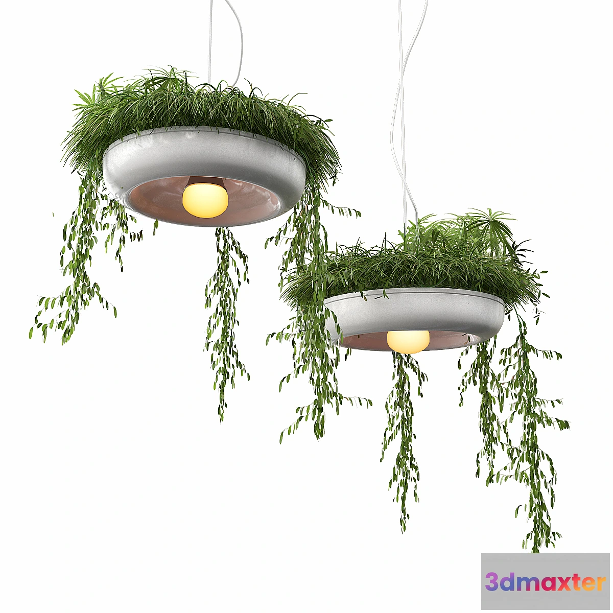 657699 - Chandelier with plants