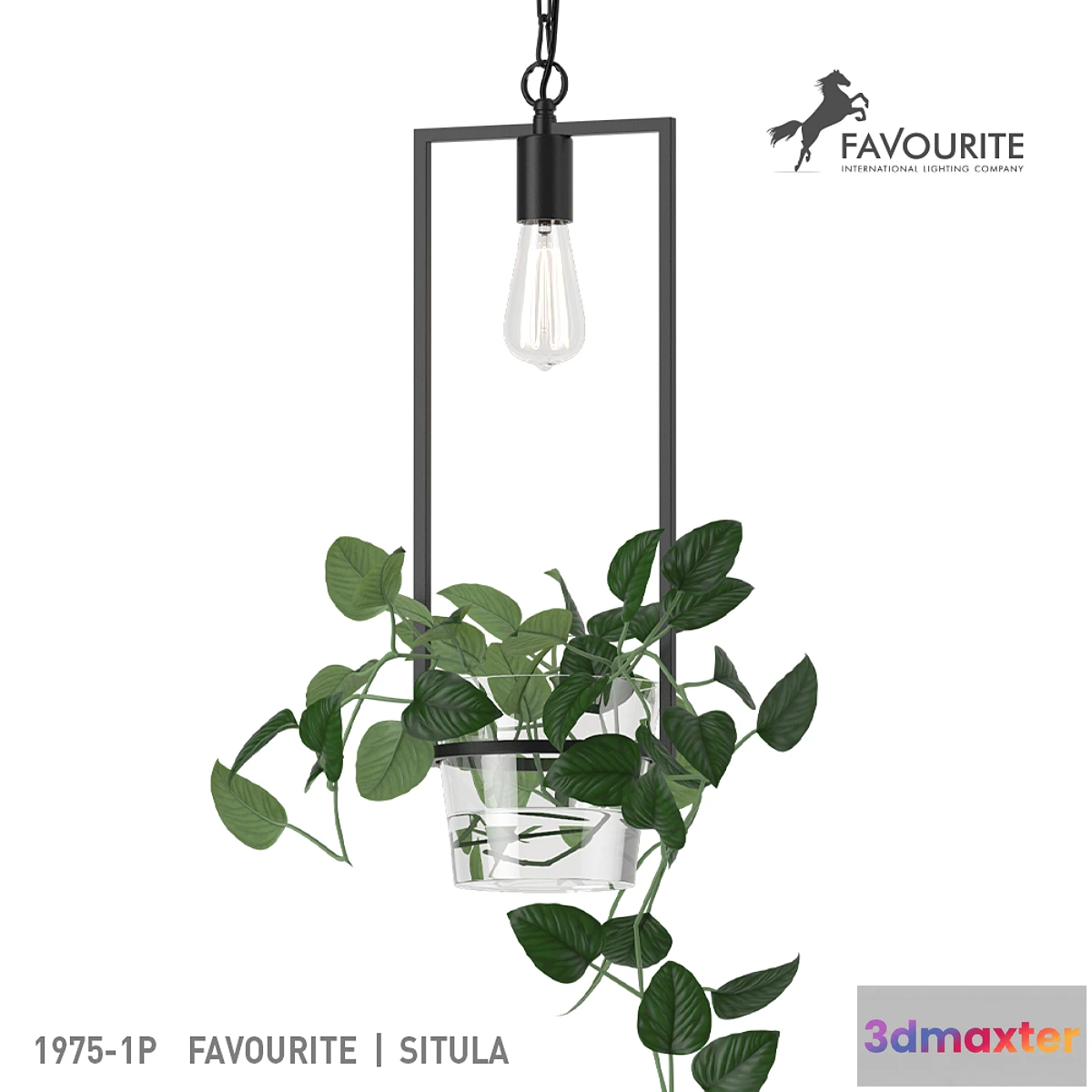 662143 - Favorite 1975-1P