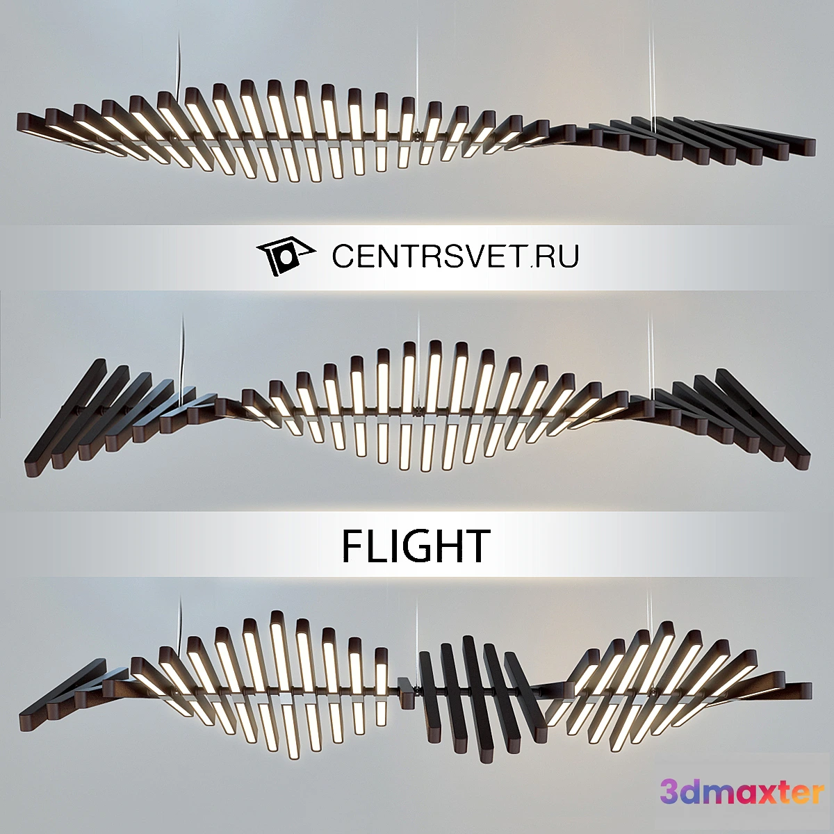 674699 - CENTRSVET_FLIGHT - No.2
