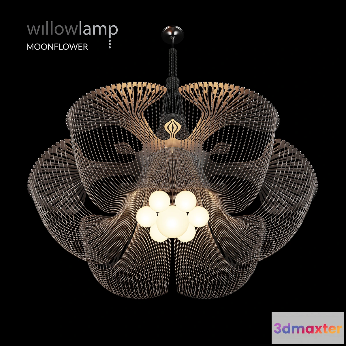 674813 - Willowlamp Moonflower
