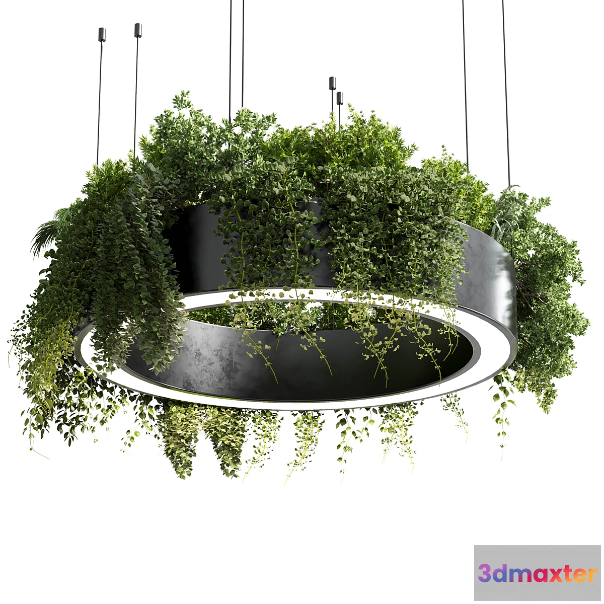 709210 - circle pot light - pendant plant light hanging 05