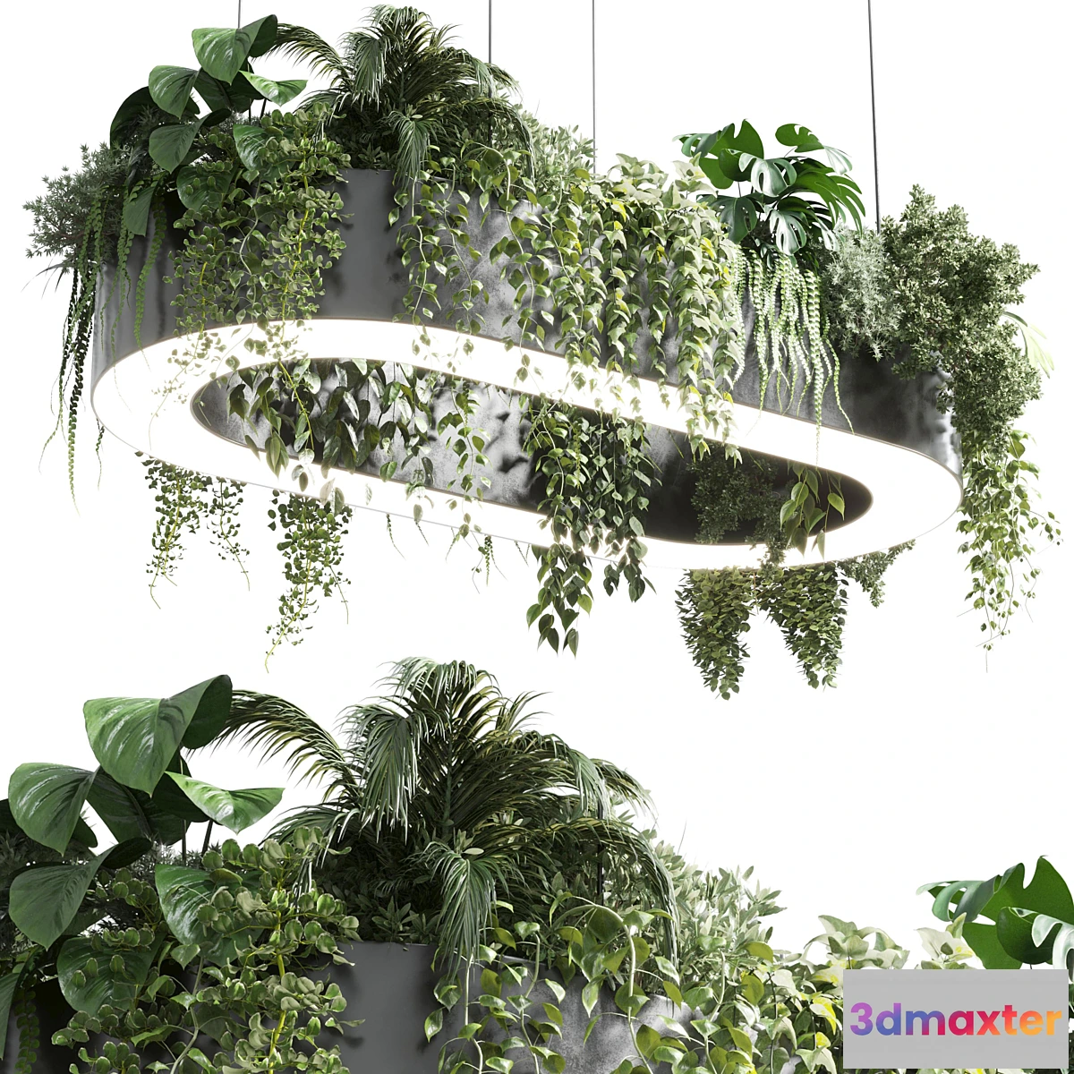709232 - pot light - pendant plant light hanging 06 corona