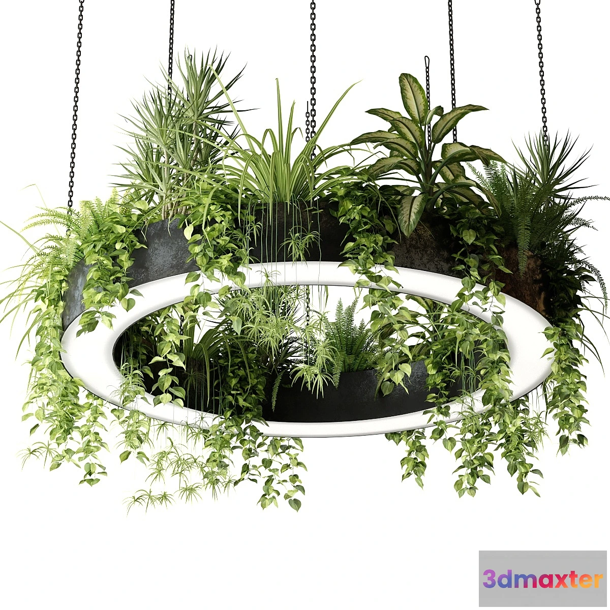 709608 - Ring lamp planter with plants