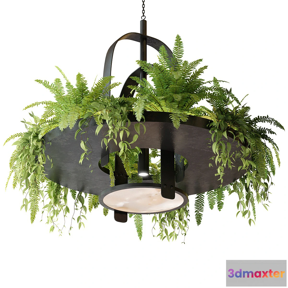 709610 - Hanging lamp with plants