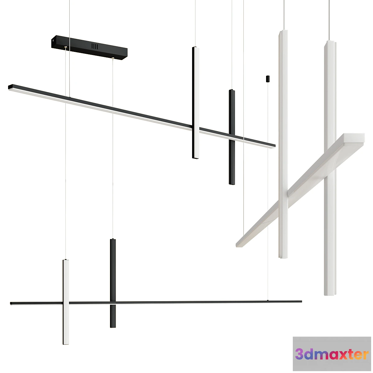 770671 - SQUIRREL - No.2