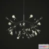 800640 - Moooi _ Heracleum