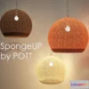 808910 - Sponge UP by POTT