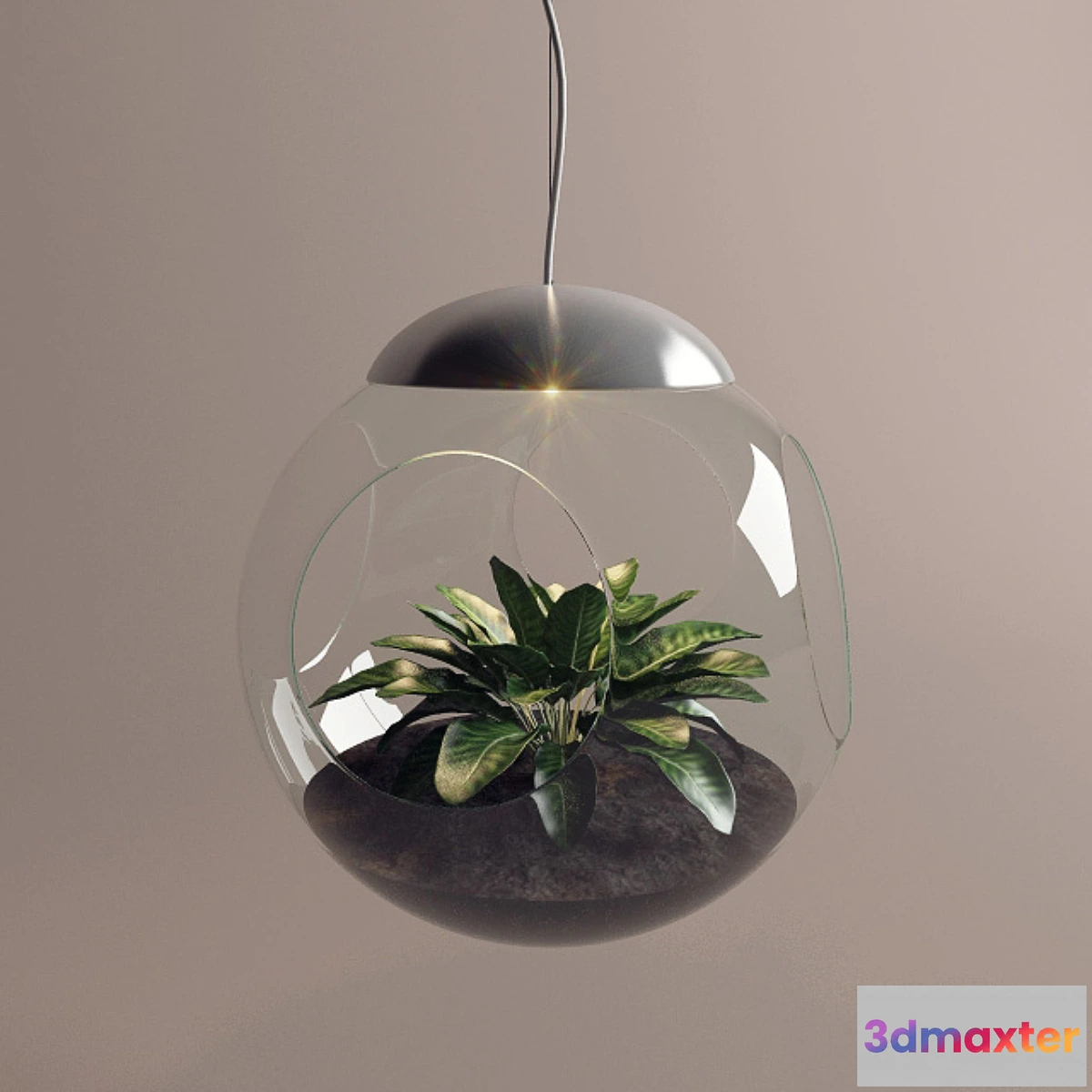 808944 - Lamp with a live plant