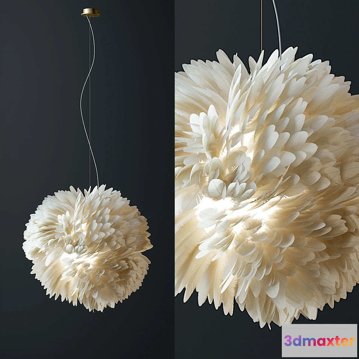 841895 - Plumage 46 - No.3