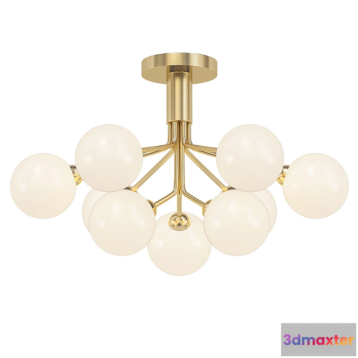 879035 - Apiales 9 Ceiling - No.4