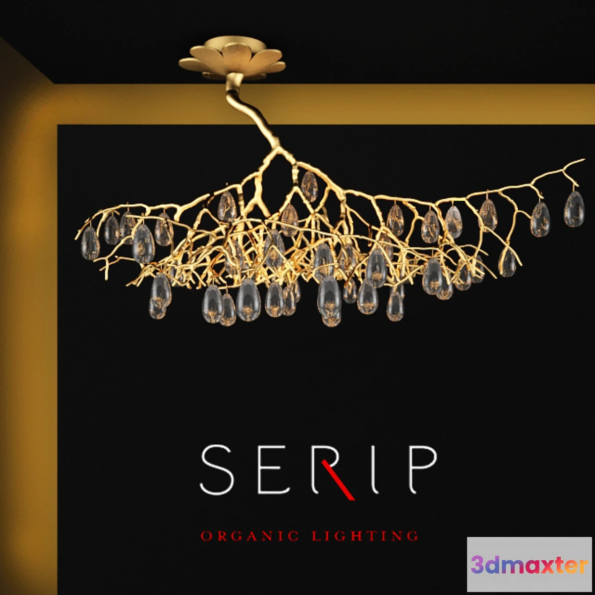 887476 - SERIP FASCINIUM - No.3