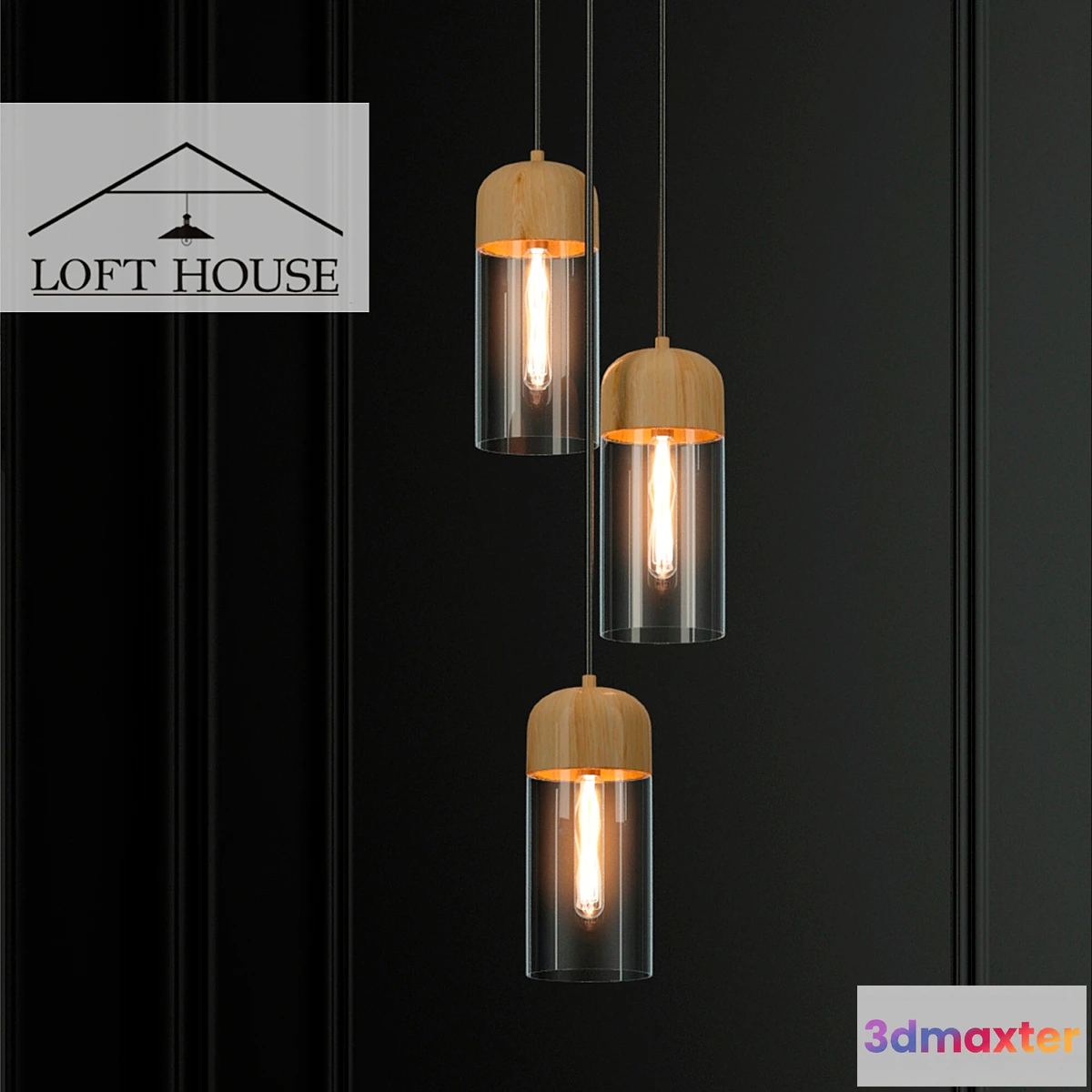 887730 - Hanging lamp LOFT HOUSE P-166 - No.2