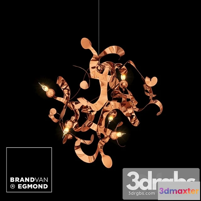 985138 - Brand Van Egmond Kelp