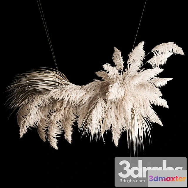 987782 - Hanging Bouquet Installation Of White Reeds Dried Flowers Of Pampas Grass Cortaderia Reeds 260